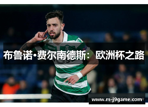 布鲁诺·费尔南德斯：欧洲杯之路