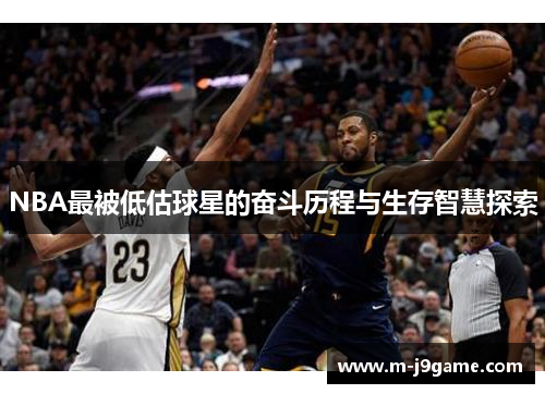 NBA最被低估球星的奋斗历程与生存智慧探索