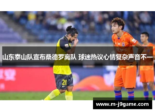 山东泰山队宣布桑德罗离队 球迷热议心情复杂声音不一