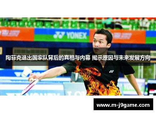 陶菲克退出国家队背后的真相与内幕 揭示原因与未来发展方向